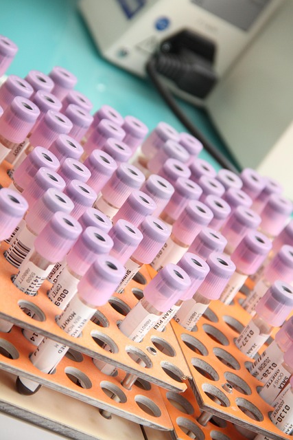 laboratory, to analyse, health, laboratory, laboratory, laboratory, laboratory, laboratory, health